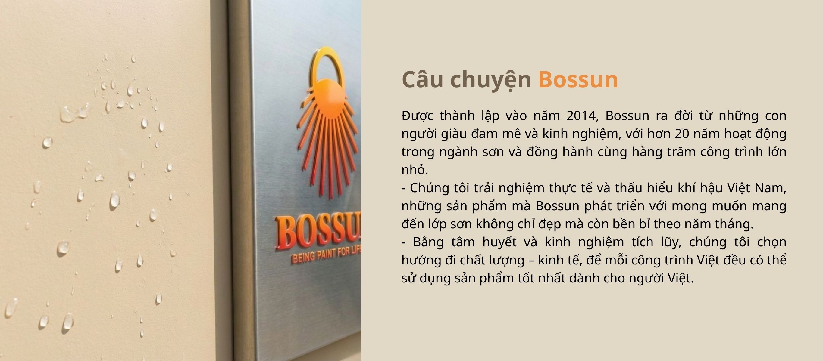 Giới thiệu về Bossun
